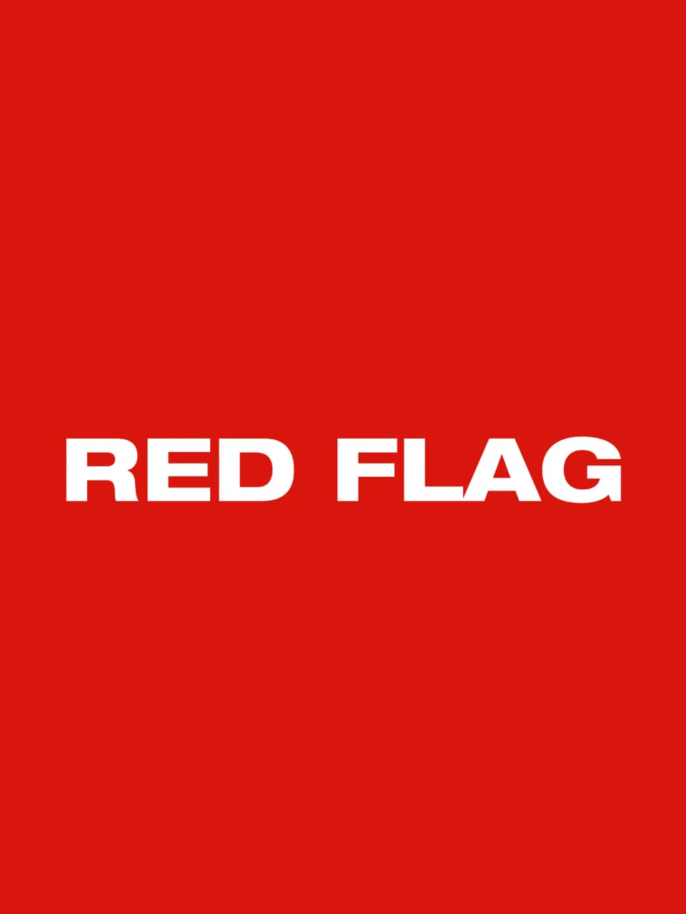 NOT YOUR RED FLAG OVERSIZED UNISEX T-SHIRT